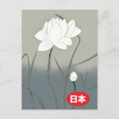 白日本のバラ ポストカード (正面)