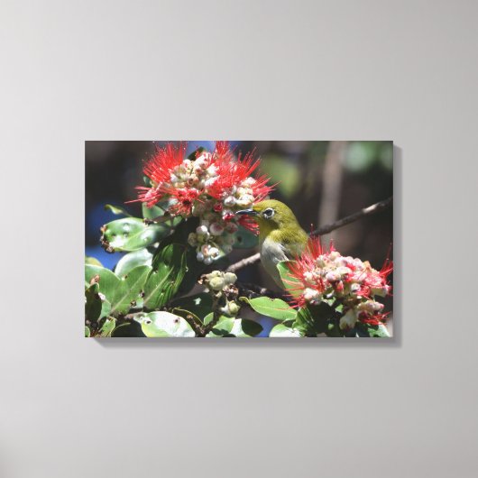 白日本の目 キャンバスプリント (正面)