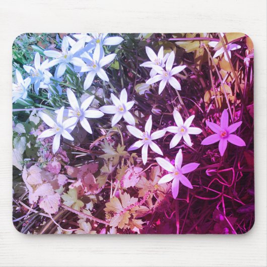 白星花マウスパッド マウスパッド (正面)