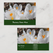 白春の花 名刺 (正面/裏面)