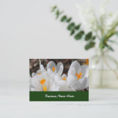 白春の花 名刺 (スタンド正面)