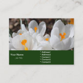 白春の花 名刺 (裏面)