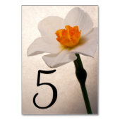 白春水仙の花のテーブル番号 テーブルナンバー (正面)
