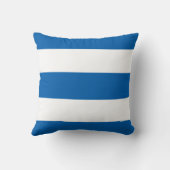 白枕の青い魚 クッション (裏面)