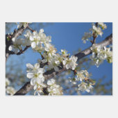 白梅の花春 ラッピングペーパーシート (正面2)