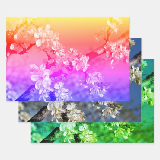 白梅の花春 ラッピングペーパーシート (セット)