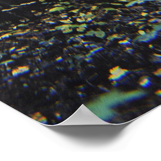 白樺の木の木 ポスター (角)