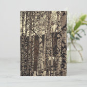 白樺の木の森 自然 招待状 (スタンド正面)