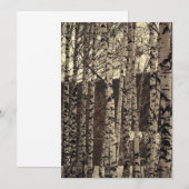 白樺の木の森 自然 招待状 (正面/裏面)