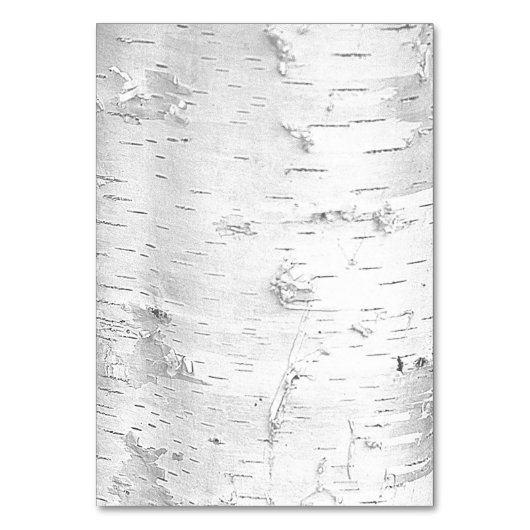 白樺の木バークの名前の座席表 テーブルナンバー (裏面)