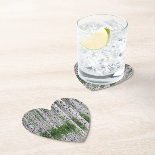 白樺の森 ネイチャー ペーパーコースター (インサイチュ)