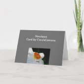 白橙色の白水仙ノートカード シーズンカード (裏面)