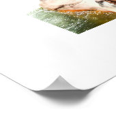 白水漂流 ポスター (角)