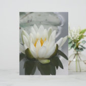 白水百合蓮の花スクラップブック (スタンド正面)