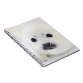 白海の氷のベビーのタテゴトアザラシ子犬 ノートブック (右側)