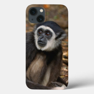 白渡されたテナガザル(HylobatesのLar)、Monkeyland iPhone 13ケース