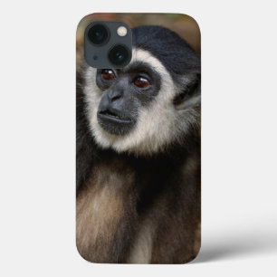 白渡されたテナガザル(HylobatesのLar)、Monkeyland iPhone 13ケース