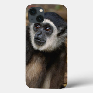 白渡されたテナガザル(HylobatesのLar)、Monkeyland iPhone 13ケース