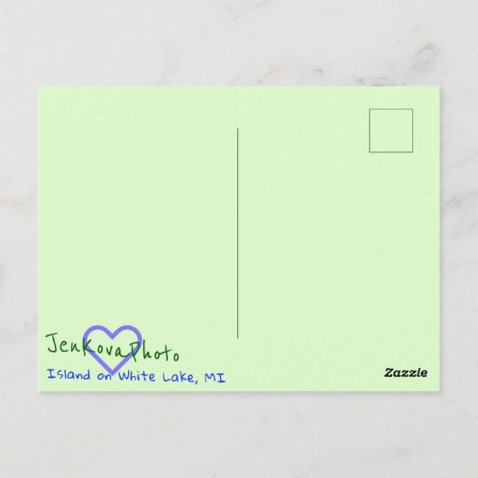 白湖葉書 ポストカード (裏面)