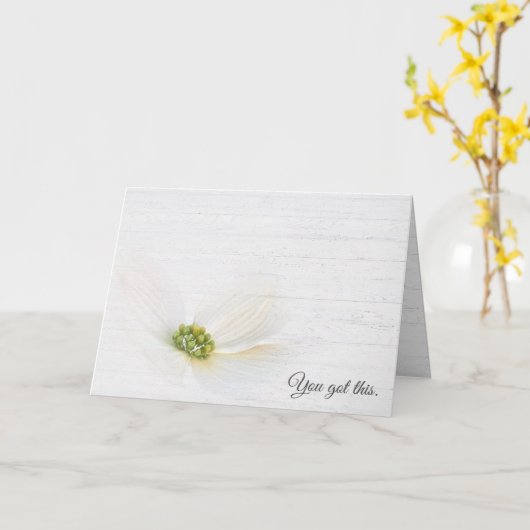 白漆喰の木にコスモスの花 カード (黄色い花)