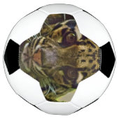 白濁ヒョウ サッカーボール (回転)