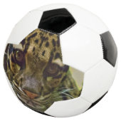 白濁ヒョウ サッカーボール (3/4)