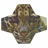 白濁ヒョウ サッカーボール (フラット)