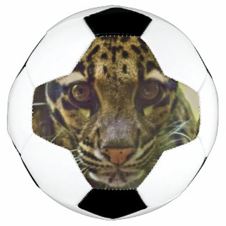 白濁ヒョウ サッカーボール