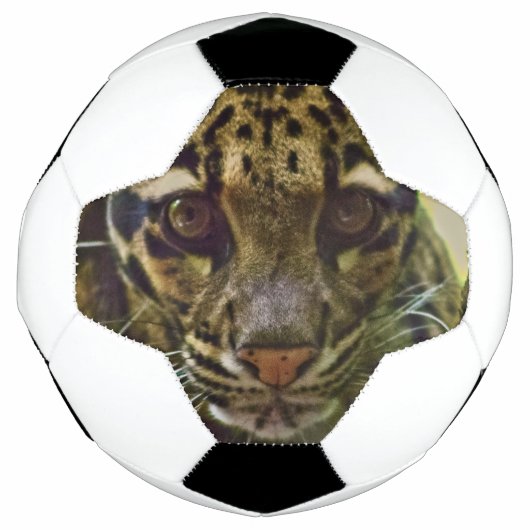 白濁ヒョウ サッカーボール (正面)