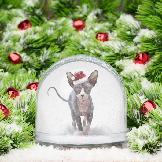 白灰色のスフィンクス猫のクリスマス (クリスマス)