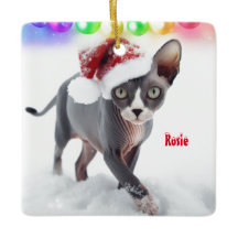 白灰色のスフィンクス猫のクリスマス