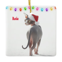 白灰色のスフィンクス猫のクリスマス