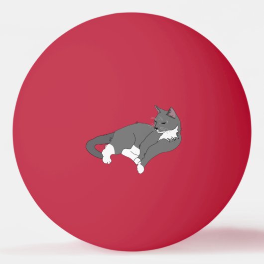 白灰色のタキシード猫 卓球ボール (正面)