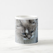 白灰色の子猫 コーヒーマグカップ (中央)