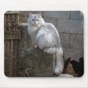 白灰色アンゴラ猫 マウスパッド