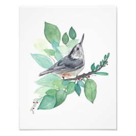 白焼きヌサチバドリ フォトプリント           