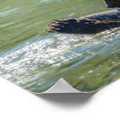 白熊がサーモンを捕まえた ポスター (角)