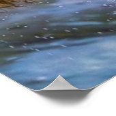 白熊がスチールヘッドサーモンを捕まえる ポスター (角)