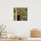 白熊の写真ポスター ポスター (キッチン)