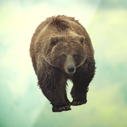 白熊の窓が引っかかる ウィンドウサイン (シート3)