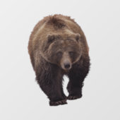 白熊の窓が引っかかる ウィンドウサイン (シート)