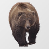 白熊の窓が引っかかる ウィンドウサイン (シート)