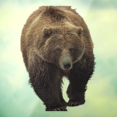 白熊の窓が引っかかる ウィンドウサイン (シート3)