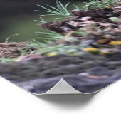 白熊の立ち ポスター (角)