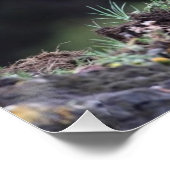 白熊の立ち ポスター (コーナー)