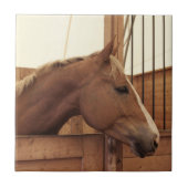 白熱した栗馬 タイル (正面)