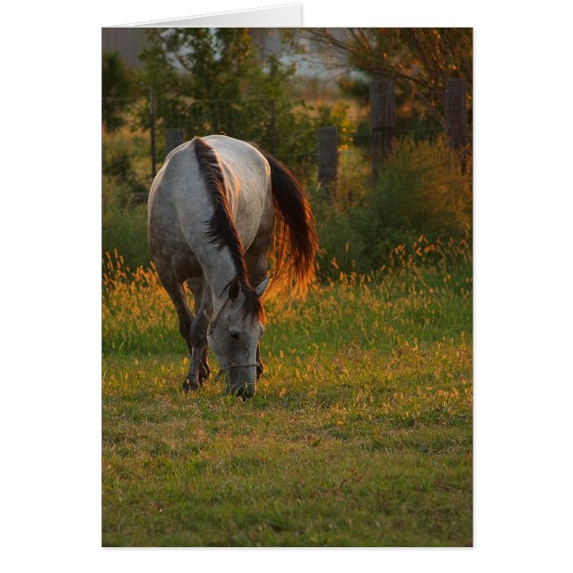 白熱を暖めて下さい (正面)