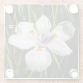 白熱帯花 ガラスコースター (裏面)