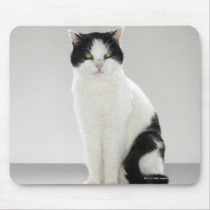 白熱［赤熱］光を放つな緑の瞳を持つ白黒猫 マウスパッド
