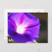 白熱［赤熱］光を放つハートはがき ポストカード (正面/裏面)